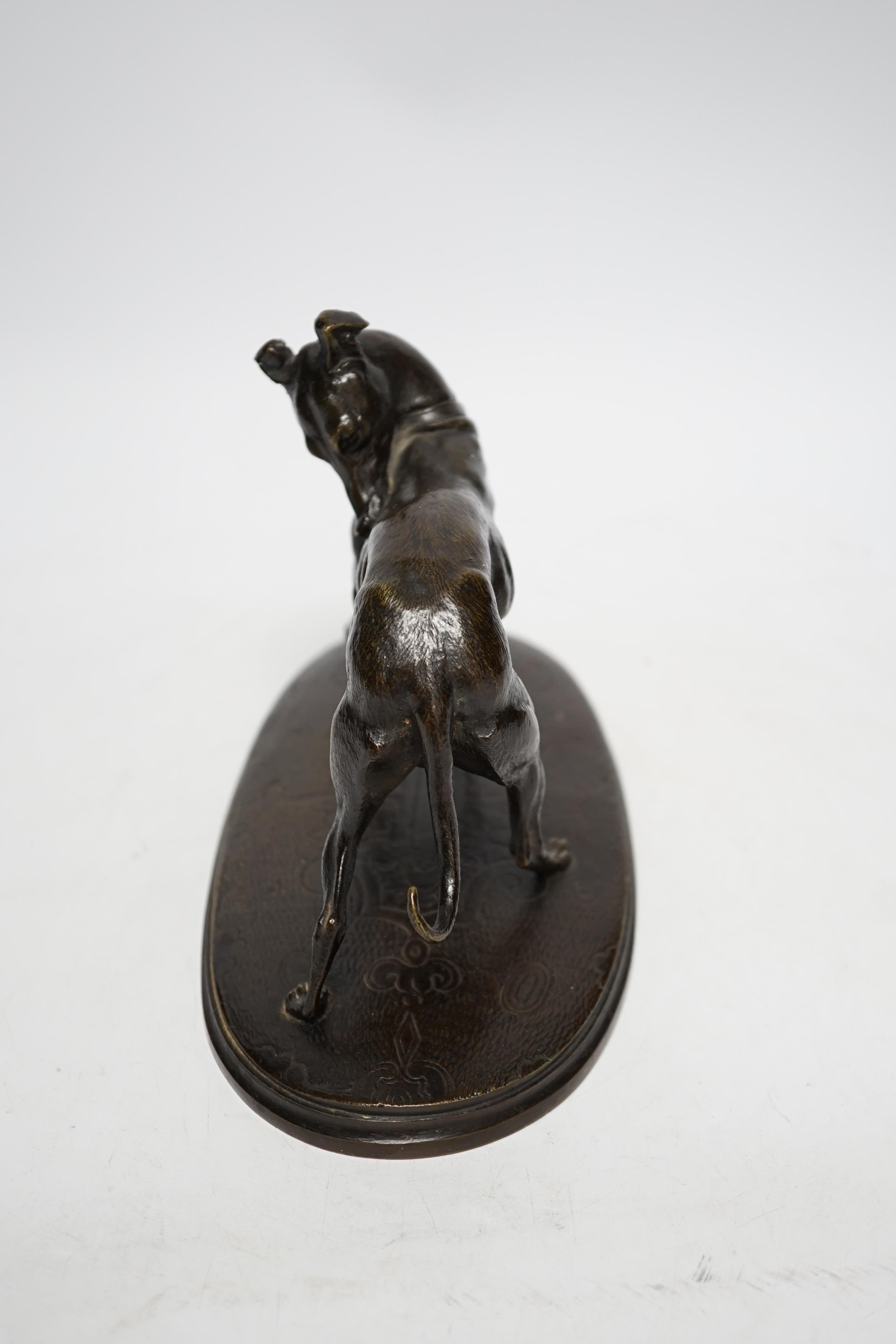 After Joseph Francois Chemin (1825-1901), a bronze study of a whippet, 21cm wide